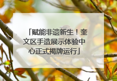 赋能非遗新生！奎文区手造展示体验中心正式揭牌运行