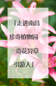 走进南昌珍奇植物园：奇花异草引游人