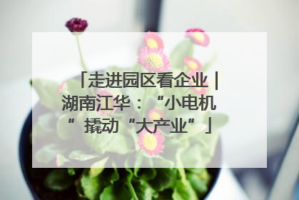 走进园区看企业｜湖南江华：“小电机”撬动“大产业”