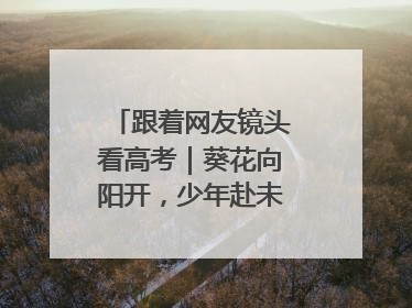 跟着网友镜头看高考｜葵花向阳开，少年赴未来，安乡高考首日的希望图景