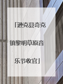 逊克县奇克镇黎明草原音乐节收官