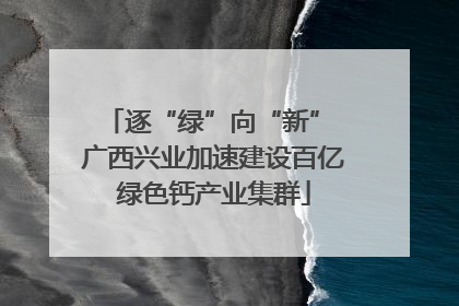 逐“绿”向“新” 广西兴业加速建设百亿绿色钙产业集群