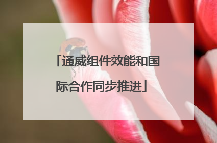 通威组件效能和国际合作同步推进