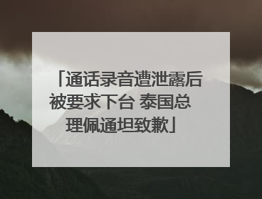 通话录音遭泄露后被要求下台 泰国总理佩通坦致歉