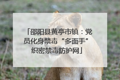 邵阳县黄亭市镇：党员化身禁毒“多面手” 织密禁毒防护网