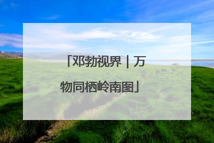 邓勃视界｜万物同栖岭南图