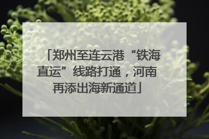 郑州至连云港“铁海直运”线路打通，河南再添出海新通道