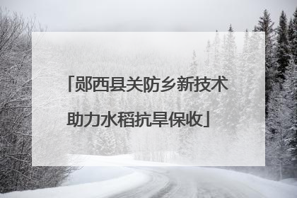 郧西县关防乡新技术助力水稻抗旱保收
