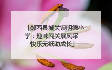 郧西县城关镇明德小学：趣味闯关展风采 快乐无纸助成长