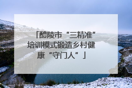 醴陵市“三精准”培训模式锻造乡村健康“守门人”