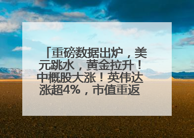 重磅数据出炉，美元跳水，黄金拉升！中概股大涨！英伟达涨超4%，市值重返全球第一！黄仁勋计划出售至多600万股股票