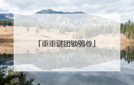重重谜团锁鸮尊