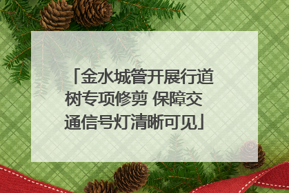 金水城管开展行道树专项修剪 保障交通信号灯清晰可见