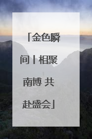 金色瞬间丨相聚南博 共赴盛会