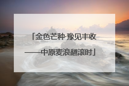 金色芒种·豫见丰收——中原麦浪翻滚时