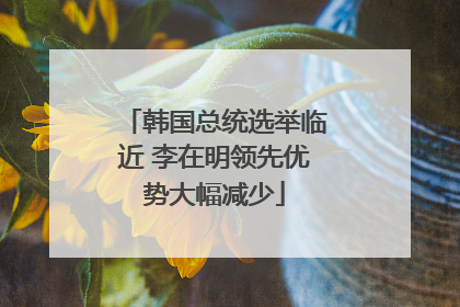 韩国总统选举临近 李在明领先优势大幅减少
