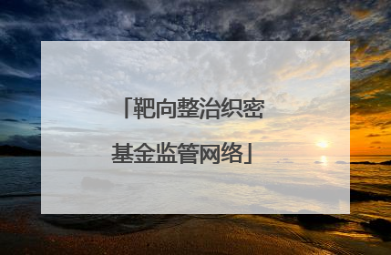 靶向整治织密基金监管网络