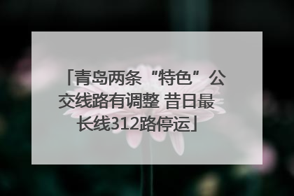 青岛两条“特色”公交线路有调整 昔日最长线312路停运