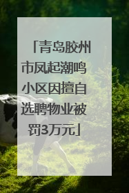 青岛胶州市凤起潮鸣小区因擅自选聘物业被罚3万元