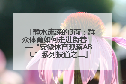 静水流深的B面：群众体育如何走进街巷——“安徽体育观察ABC”系列报道之二