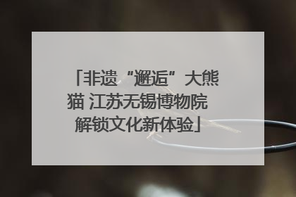 非遗“邂逅”大熊猫 江苏无锡博物院解锁文化新体验