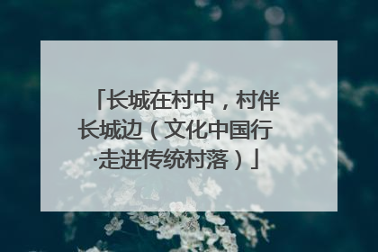 长城在村中，村伴长城边（文化中国行·走进传统村落）