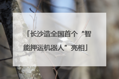长沙造全国首个“智能押运机器人”亮相