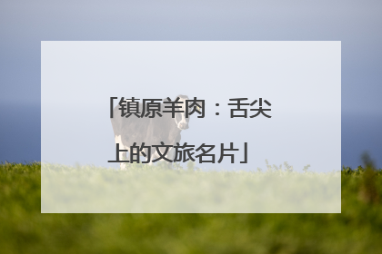 镇原羊肉：舌尖上的文旅名片