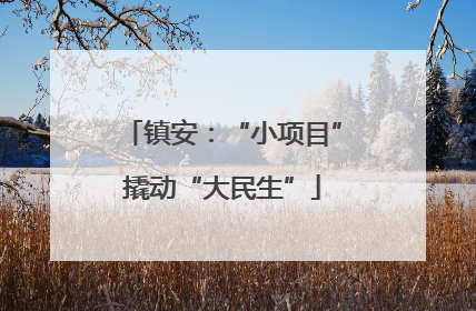镇安：“小项目”撬动“大民生”