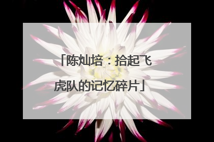 陈灿培：拾起飞虎队的记忆碎片
