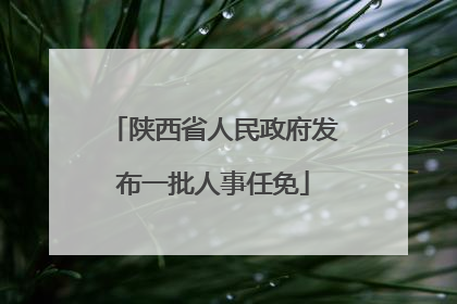 陕西省人民政府发布一批人事任免