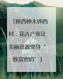 陕西神木铧西村：花卉产业让美丽资源变身“致富密码”
