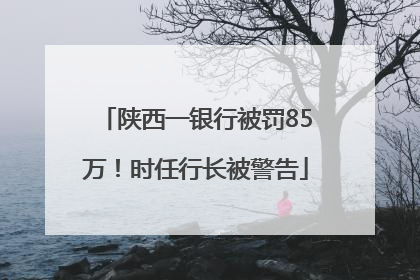 陕西一银行被罚85万！时任行长被警告
