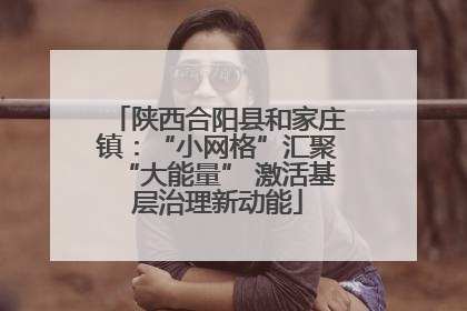陕西合阳县和家庄镇：“小网格”汇聚“大能量” 激活基层治理新动能