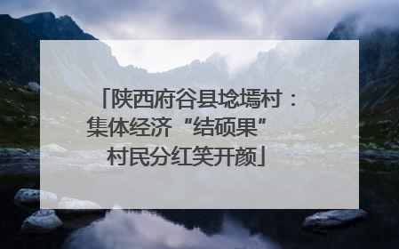 陕西府谷县埝墕村：集体经济“结硕果” 村民分红笑开颜
