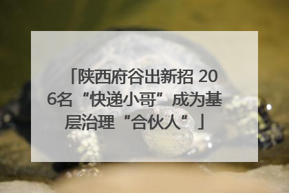 陕西府谷出新招 206名“快递小哥”成为基层治理“合伙人”
