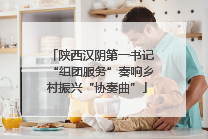 陕西汉阴第一书记“组团服务”奏响乡村振兴“协奏曲”