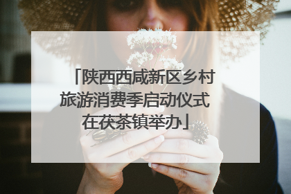陕西西咸新区乡村旅游消费季启动仪式在茯茶镇举办