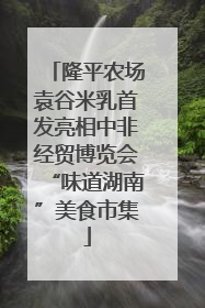 隆平农场袁谷米乳首发亮相中非经贸博览会“味道湖南”美食市集