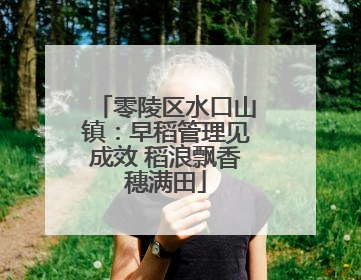 零陵区水口山镇：早稻管理见成效 稻浪飘香穗满田