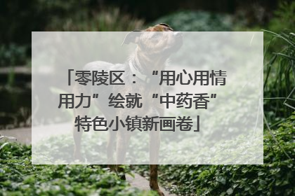 零陵区：“用心用情用力”绘就“中药香”特色小镇新画卷