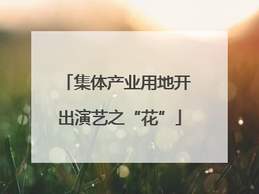 集体产业用地开出演艺之“花”