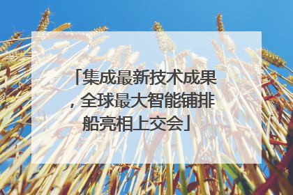 集成最新技术成果，全球最大智能铺排船亮相上交会