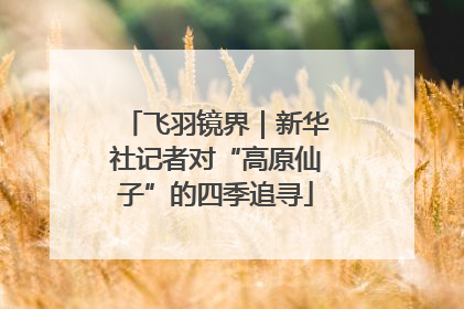 飞羽镜界｜新华社记者对“高原仙子”的四季追寻