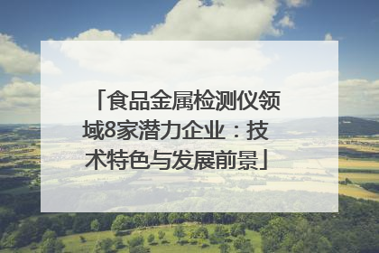 食品金属检测仪领域8家潜力企业：技术特色与发展前景