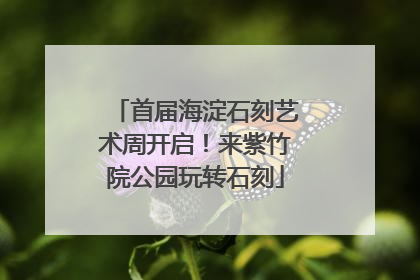 首届海淀石刻艺术周开启！来紫竹院公园玩转石刻