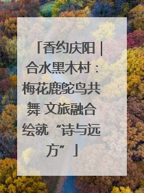 香约庆阳｜合水黑木村：梅花鹿鸵鸟共舞 文旅融合绘就“诗与远方”
