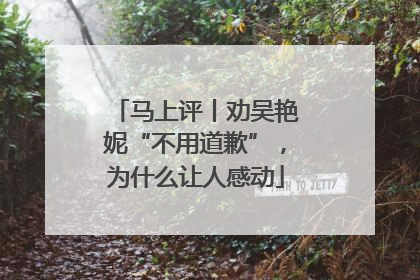 马上评丨劝吴艳妮“不用道歉”，为什么让人感动