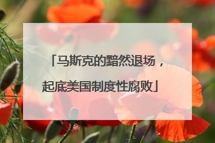 马斯克的黯然退场，起底美国制度性腐败