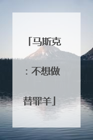 马斯克：不想做替罪羊